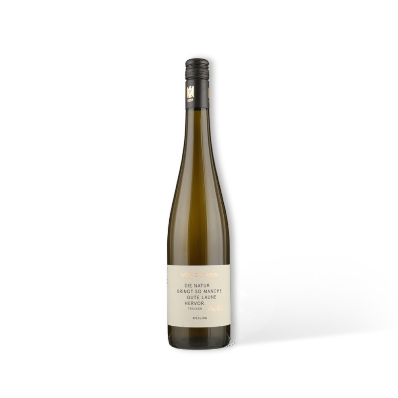 WEINGUT HEID Riesling Trocken Gutswein BIO