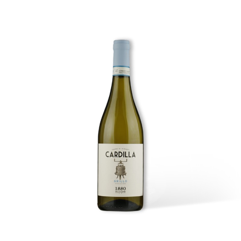 PELLEGRINO CARDILLA Grillo