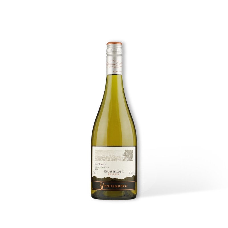 Ventisquero Reserva Chardonnay - Valle de Casablanca