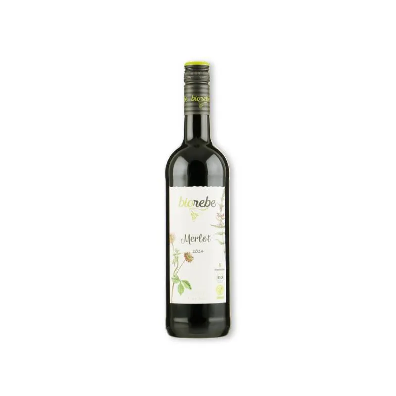 [782016] BIOrebe Merlot IGP Italia (BIO)
